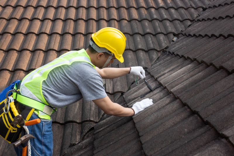 Roofing Consultation